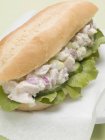 Sandwich salade de poulet — Photo de stock