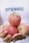 Mãos femininas segurando maçãs — Fotografia de Stock