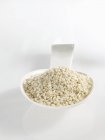 Cucharada de semillas de sésamo - foto de stock