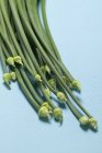 Зеленый чесночный лук — стоковое фото