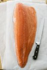Тасманское филе лосося — стоковое фото