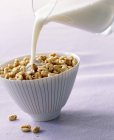 Pouring milk onto puffed wheat cereal — Stock Photo