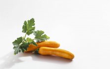 Zucchine gialle fresche con foglie — Foto stock