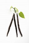 Vanilla pods with leaves — Stock Photo