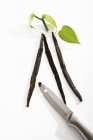 Vanilla pods and knife — Stock Photo