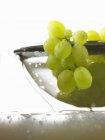 Uvas verdes con gotas de agua - foto de stock