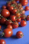 Tomates fraîches mûres — Photo de stock
