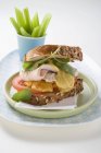 Sandwich mit Truthahn und Tomaten — Stockfoto