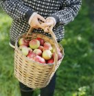 Femme tenant panier de pommes — Photo de stock