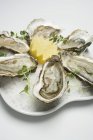 Fresh oysters and lemon — Stock Photo