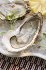 Fresh oysters with lemon — Stock Photo