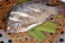 Gedünsteter ganzer Tilapia-Fisch — Stockfoto