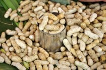 Peanuts unshelled and can — Stock Photo