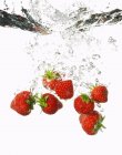 Erdbeeren fallen ins Wasser — Stockfoto