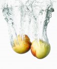 Nectarines falling into water — Stock Photo
