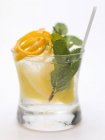 Водка с лимоном, мятой и апельсиновой цедрой — стоковое фото