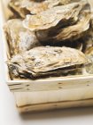 Huîtres fraîches en coquilles — Photo de stock