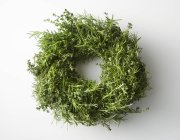 Вид сверху на зеленый травяной венок на белой поверхности — стоковое фото
