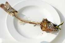 Крупный план рыбных костей тилапии на тарелке — стоковое фото