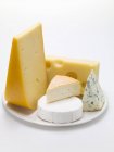 Pedaços de diferentes queijos — Fotografia de Stock