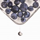 Frozen blueberries in ice cube — Stock Photo