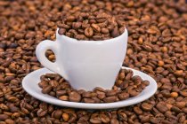 Coffee beans in espresso cup — Stock Photo