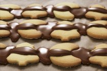 Biscoitos de Natal com cobertura de chocolate — Fotografia de Stock