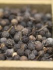 Closeup view of dried juniper berries heap — Stock Photo