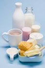 Diversos produtos lácteos — Fotografia de Stock