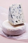 Soft cheese and blue cheese — Stock Photo