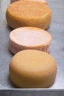 Vários queijos redondos — Fotografia de Stock