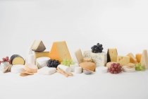 Cheese still life — Stock Photo