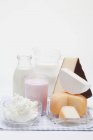 Verschiedene Käsesorten und Milchprodukte — Stockfoto
