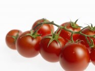 Вишневі помідори на лозі — стокове фото