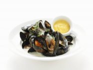 Steamed mussels with white wine sauce — Stock Photo