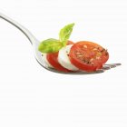 Tranches de tomates à la mozzarella — Photo de stock