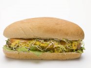 Hot dog with sprouts — Stock Photo