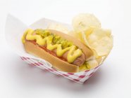Hot dog avec chips de pommes de terre — Photo de stock