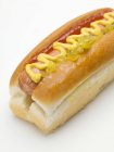 Hot dog con ketchup e cetriolino — Foto stock