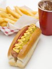 Hot dog con patatine fritte e cola — Foto stock