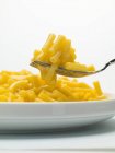 Frische Makkaroni und Käse — Stockfoto
