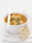 Zuppa di gulasch con gnocchi — Foto stock