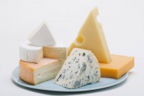 Cheese plate with cheese — Stock Photo