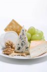 Cheese plate with crackers — Stock Photo