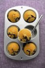 Blueberry muffins in muffin tin — Stock Photo