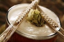 Closeup view of ale with dried hop and ears of barley — Stock Photo