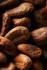 Frijoles de cacao en montón - foto de stock