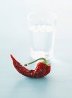 Getrocknete Chili und ein Glas Wasser — Stockfoto