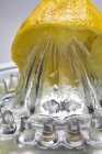 Metade de limão no espremedor — Fotografia de Stock
