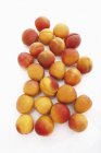 Fresh ripe Apricots — Stock Photo